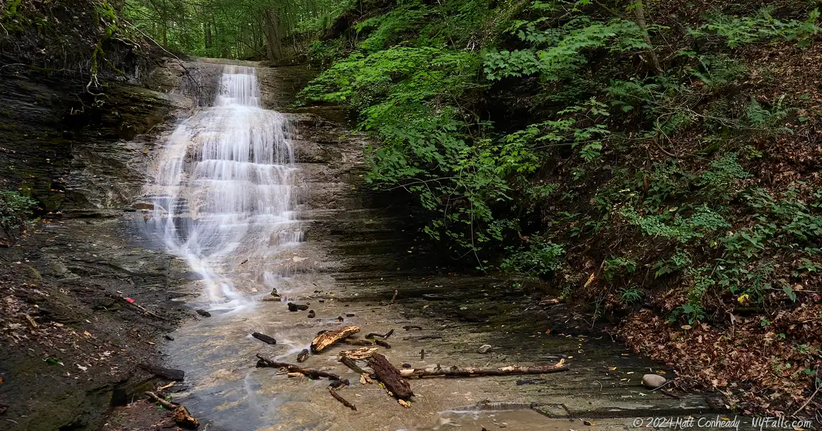 Denison Falls near the Treehouse at Cayuga Nature Center.