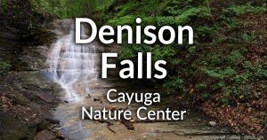 Denison Falls (at the Cayuga Nature Center) information