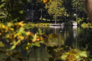 A gull swimming on the calm Cazenovia Lake