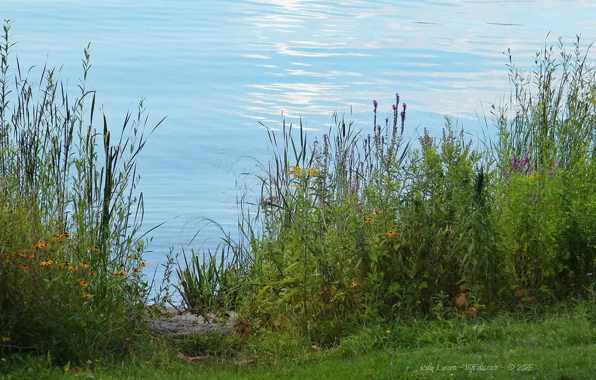 Cazenovia Lake shoreline