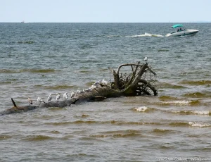 Oneida Lake at Verona Beach