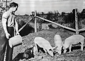 Student worker at the Horticulture School