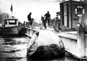 The Plunge-O-Sphere that Nathan Boya used to go over Niagara Falls.