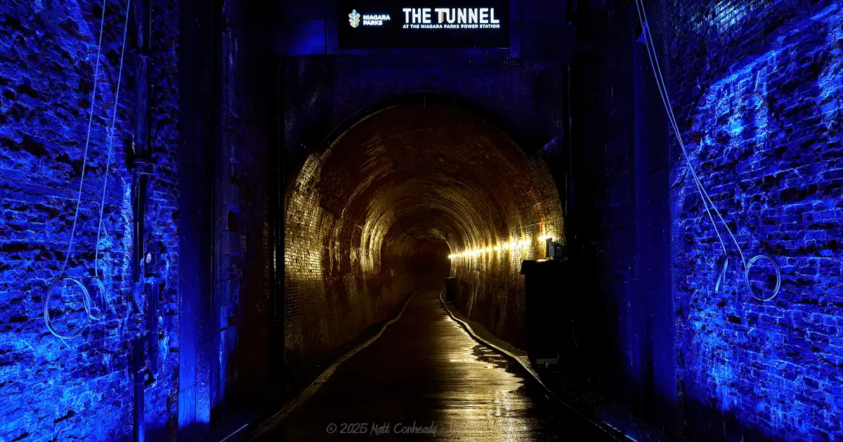 Blue light as visitors exist the elevator and enter the tunnel