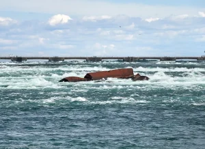 Niagara-scow in 2022