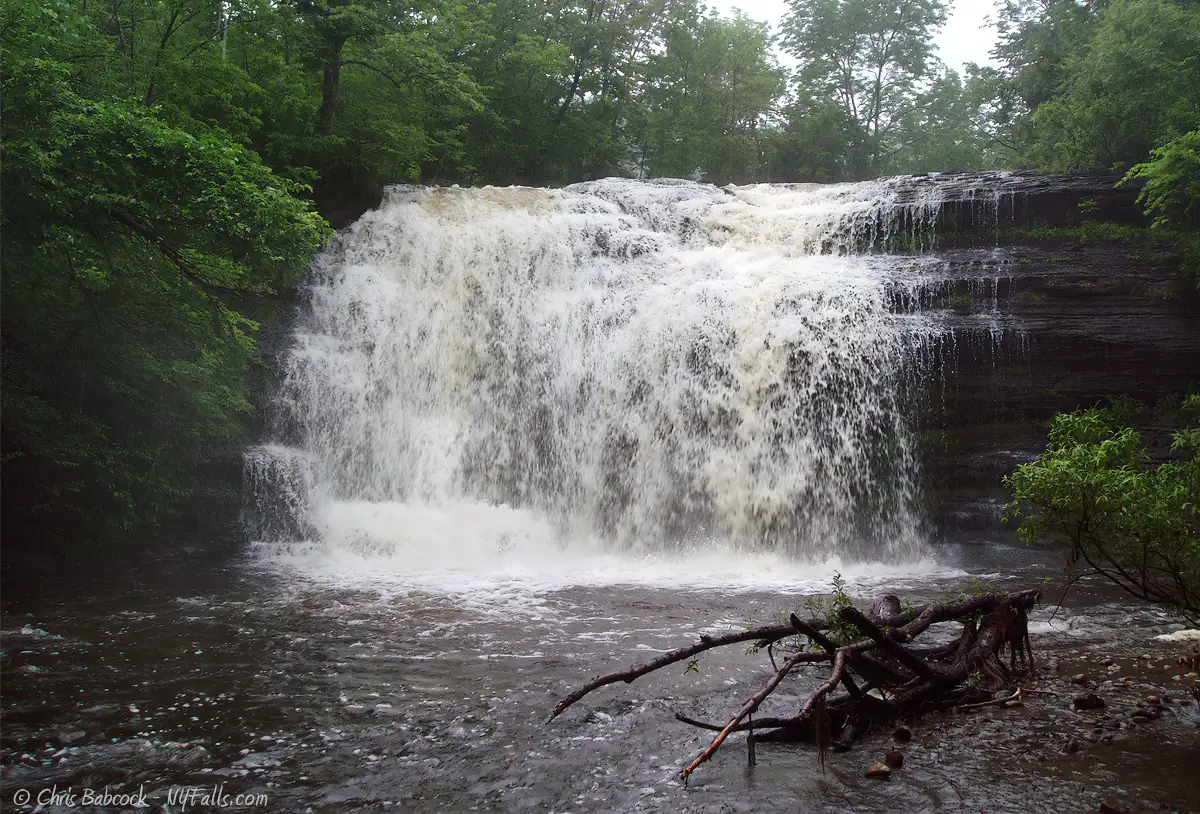 Pixley Falls by Chris Babcock