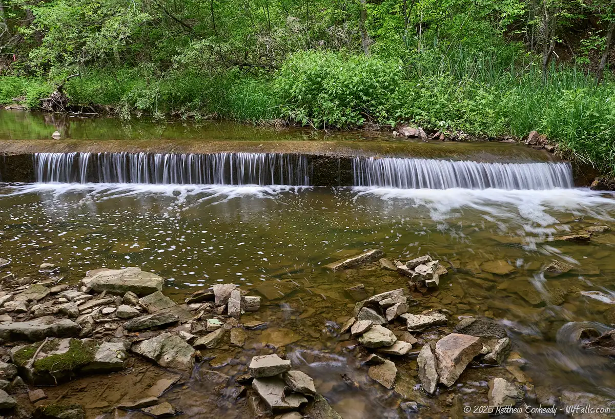 Small dam on 18 Mile Creek